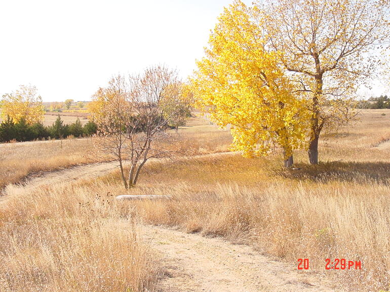 Nature Trail