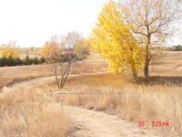 Nature Trail