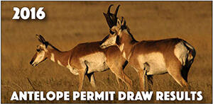 Antelope Draw Results