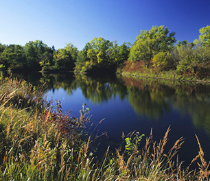 Pond Management