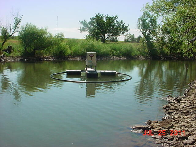 Madison Lake feeder