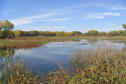 Byron Walker Wetlands