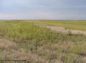 GLWA Pasture