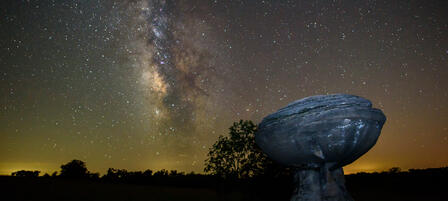 Wild About Kansas Photo Contest Winners Announced