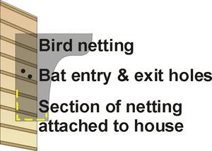 BAT BAFFLE CAPTION ILLUSTRATION