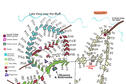 Legends Triathlon Campground Reservation Map