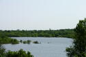 A view of the lake from Algiers Cabin