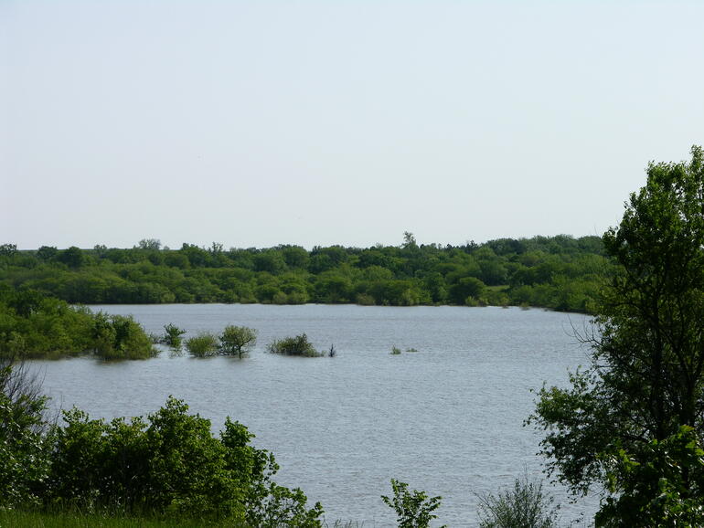 A view of the lake from Algiers Cabin