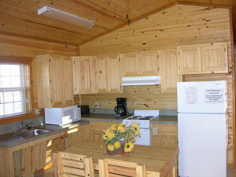 Inside Modern Cabins