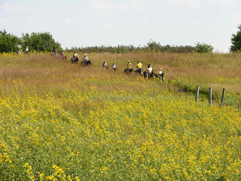 Trail Ride