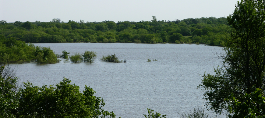 Eisenhower Skyline