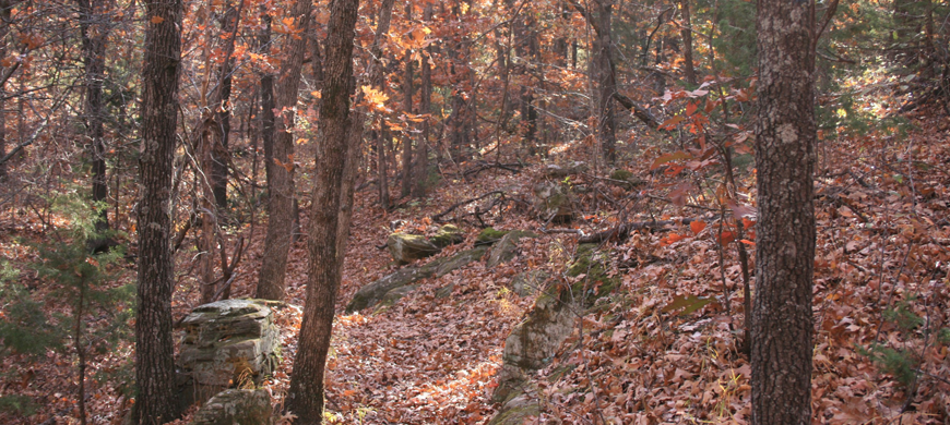 Part of Fall River Post Oak Trail