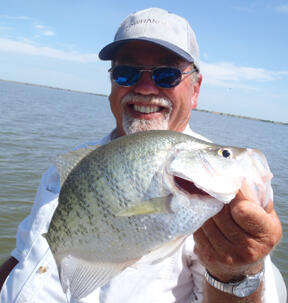 Chatt crappie