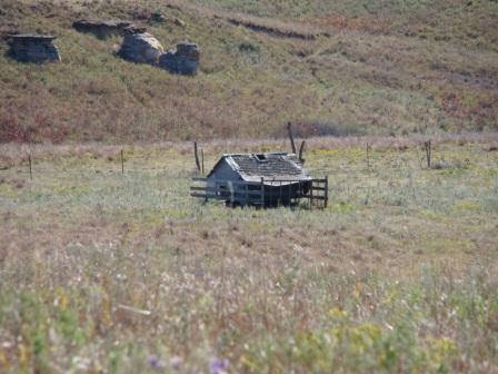 Little shed on the prairie