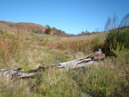 Red Rock Creek fall 2011