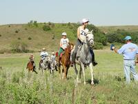 Trail Riding