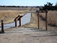 Prairie Dog Nature