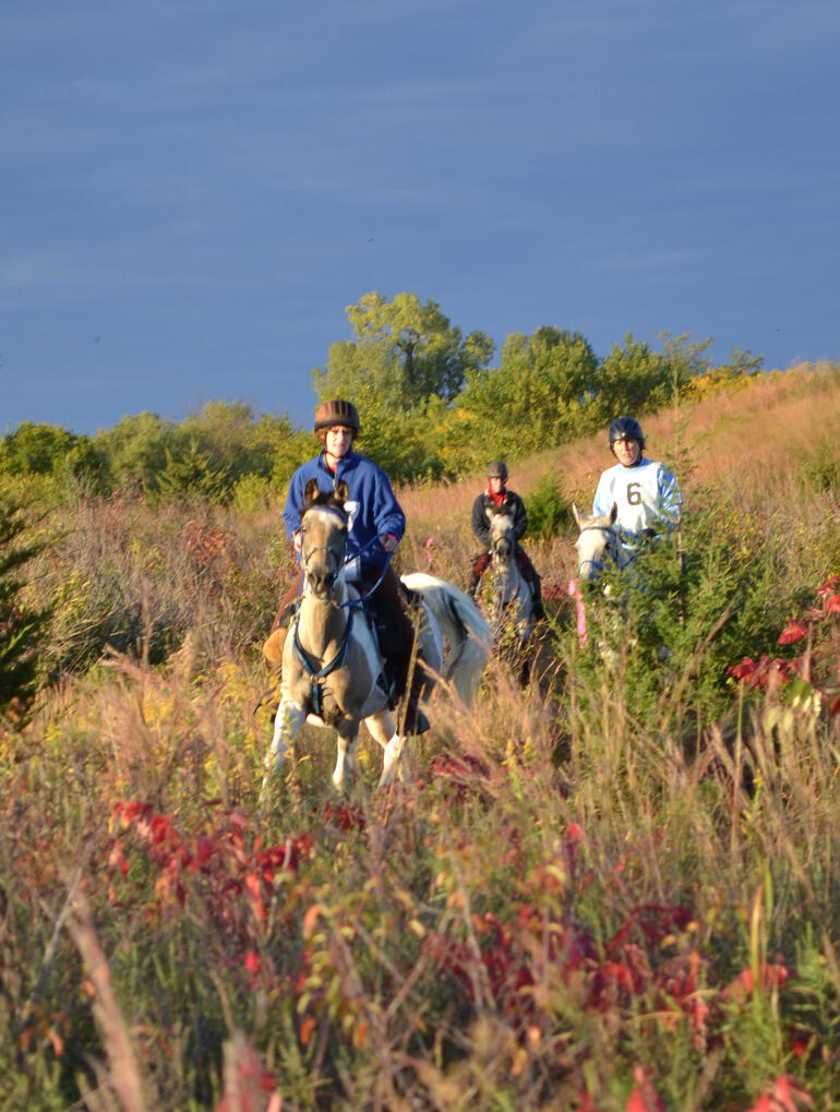 2014 Trail Rider