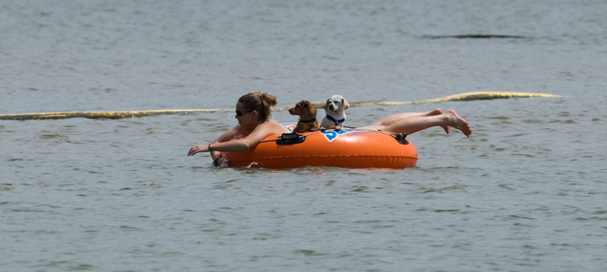 Tuttle-Creek-State-Park-Dogs-in-Tube