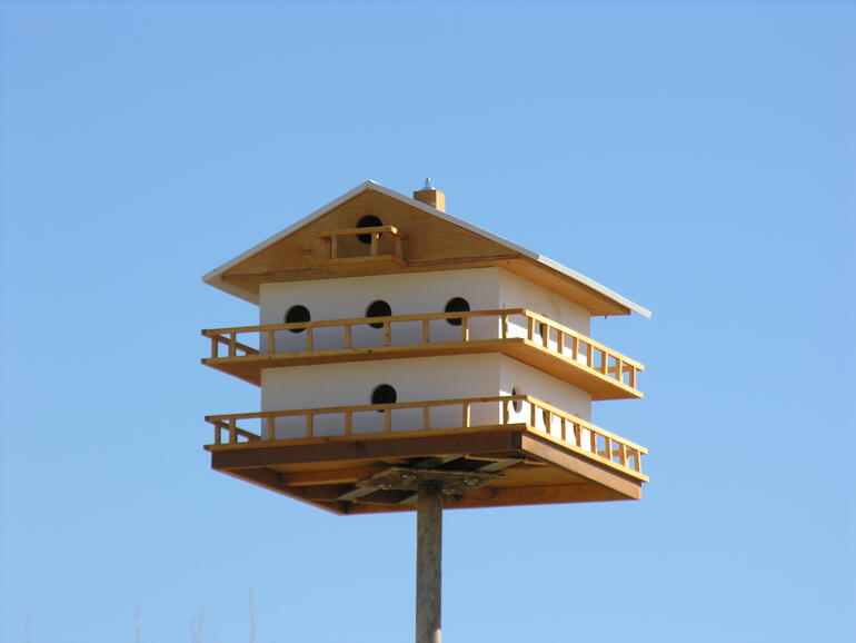 Purple Martin House close-up