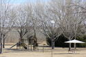 Purple Martin House