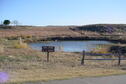 Wilson Lake Kid's Pond (Wheatgrass Swim Beach Area)